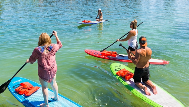 4 people on stand-up paddle boards